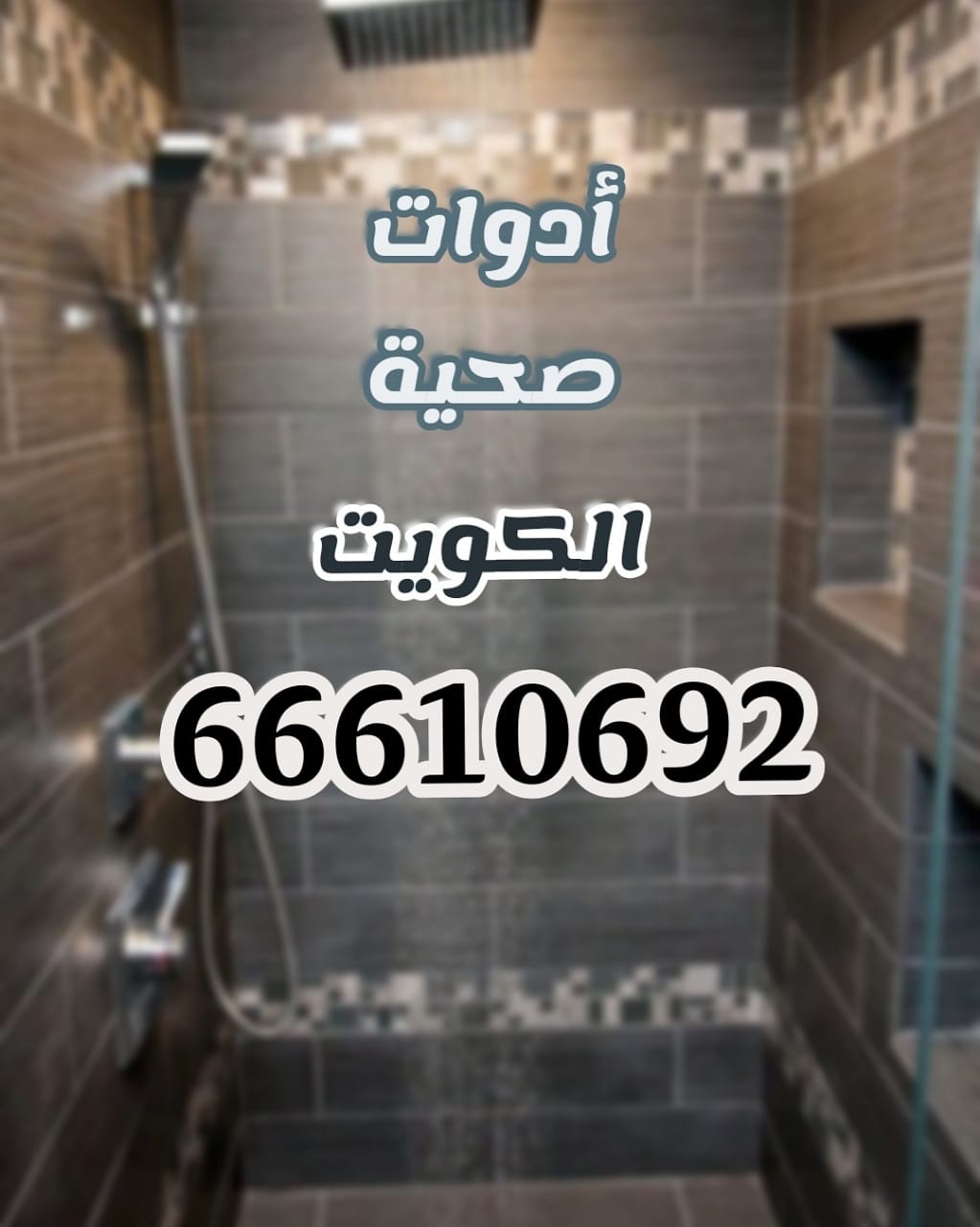سباك جمعية القيروان / 66610692 / صيانة وتركيب فني صحي بالعاصمة